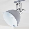 Dompierre Plafondlamp Grijs, Wit, 4-lichts
