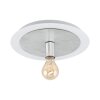 Eglo PASSANO Plafondlamp Zilver, Wit, 1-licht