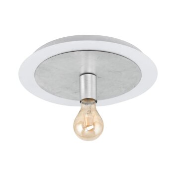 Eglo PASSANO Plafondlamp Zilver, Wit, 1-licht