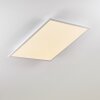 Salmi Plafondlamp LED Aluminium, Wit, 1-licht, Afstandsbediening
