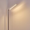 Deje Staande lamp LED Nikkel mat, 1-licht