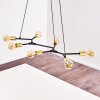 Coppet Hanglamp Zwart-Goud, 7-lichts