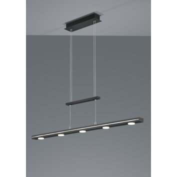 Trio Lacal Hanglamp LED Nikkel mat, 7-lichts