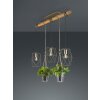 Trio Plant Hanglamp LED Donkerbruin, Nikkel mat, 3-lichts