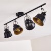 Safari Plafondlamp Zwart, 4-lichts