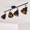 Safari Plafondlamp Zwart, 4-lichts