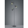 Trio EDWARD Staande lamp Zwart, 3-lichts