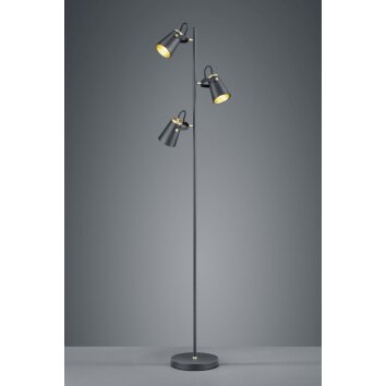 Trio EDWARD Staande lamp Zwart, 3-lichts