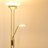 Biot Uplighter LED Oud messing, 2-lichts