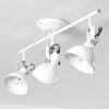 Tina Plafondlamp Wit, 3-lichts