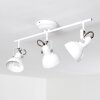 Tina Plafondlamp Wit, 3-lichts