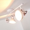 Tina Plafondlamp Wit, 3-lichts