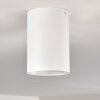 Grenada Plafondlamp Wit, 1-licht