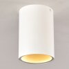 Grenada Plafondlamp Wit, 1-licht