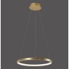 Leuchten-Direkt CIRCLE Hanglamp LED Goud, 1-licht