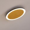 Aitrach Plafondlamp LED Goud, 1-licht