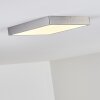 Broglen Plafondlamp LED Nikkel mat, 1-licht