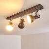 Danikon Plafondlamp Bruin, 3-lichts