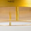 Springdale Plafondlamp LED Goud, 1-licht