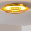 Springdale Plafondlamp LED Goud, 1-licht