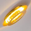Springdale Plafondlamp LED Goud, 1-licht