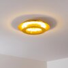 Springdale Plafondlamp LED Goud, 1-licht