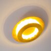 Springdale Plafondlamp LED Goud, 1-licht