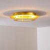 Springdale Plafondlamp LED Goud, 1-licht