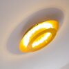 Springdale Plafondlamp LED Goud, 1-licht