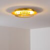 Springdale Plafondlamp LED Goud, 1-licht