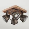 Glostrup Plafondlamp Bruin, roestvrij staal, 4-lichts
