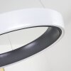 Mackay Plafondlamp LED Antraciet, Wit, 1-licht, Afstandsbediening