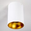 Grenada Plafondlamp Goud, Wit, 1-licht