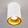 Grenada Plafondlamp Goud, Wit, 1-licht