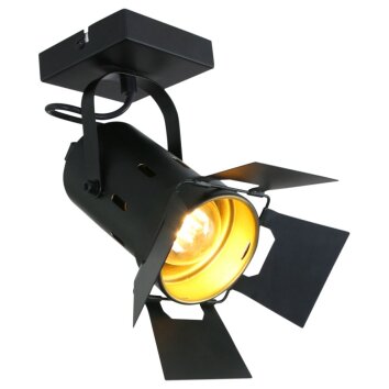 Steinhauer Woschnik Plafondlamp Zwart, 1-licht