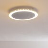 Aitrach Plafondlamp LED Zilver, 1-licht