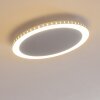 Aitrach Plafondlamp LED Zilver, 1-licht