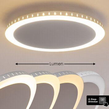 Aitrach Plafondlamp LED Zilver, 1-licht