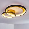 Baiyin Plafondlamp LED Zwart-Goud, 1-licht