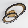 Baiyin Plafondlamp LED Zwart-Goud, 1-licht