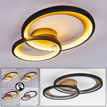 Baiyin Plafondlamp LED Zwart-Goud, 1-licht