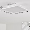 Barasat Plafondlamp LED Wit, 1-licht