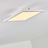 Barasat Plafondlamp LED Wit, 1-licht
