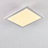 Barasat Plafondlamp LED Wit, 1-licht