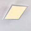 Barasat Plafondlamp LED Wit, 1-licht