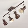 Danikon Plafondlamp Bruin, 4-lichts