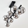 Chehalis Plafondlamp LED Zwart, 9-lichts