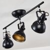 Tina Plafondlamp Zwart, 3-lichts