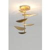 Holländer MASCOTTE Plafondlamp LED Goud, 6-lichts