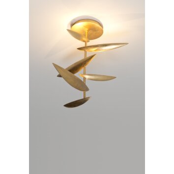 Holländer MASCOTTE Plafondlamp LED Goud, 6-lichts